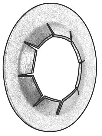 Nøtter | Verdi Merke, 4Hfx1, Push Nut, Stud Bevaring, Stl, 3/8 Tommer, Pk5 Nøtter Nøtter