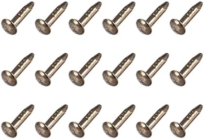 Negler | Små spiker (1,2X6Mm) 300 stk, karbonstål små hardware spiker – For husholdningssnekring, bronsefarge Negler Negler